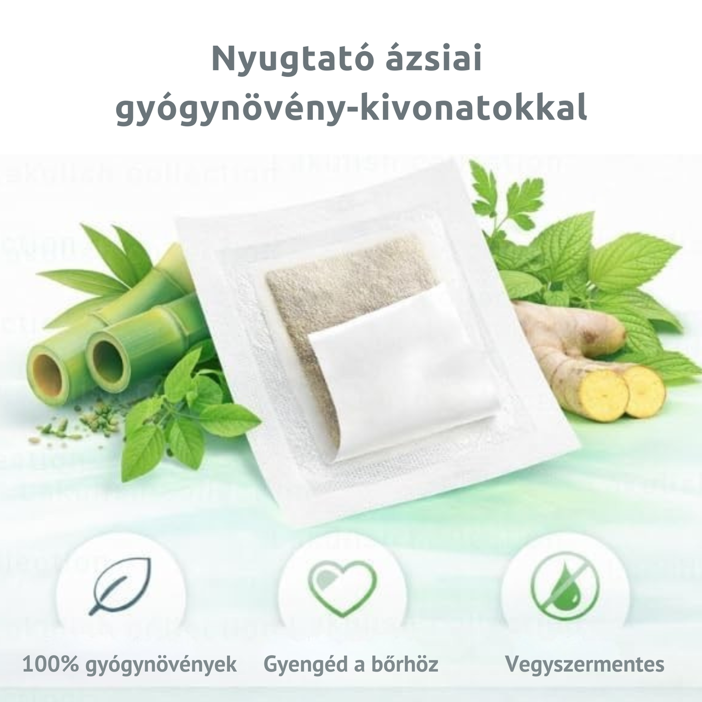 PureSole Éjszakai Gyógynövényes Talptapasz